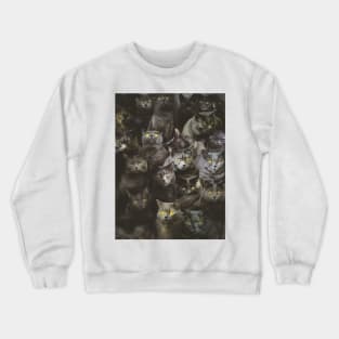 Chartreux Crewneck Sweatshirt